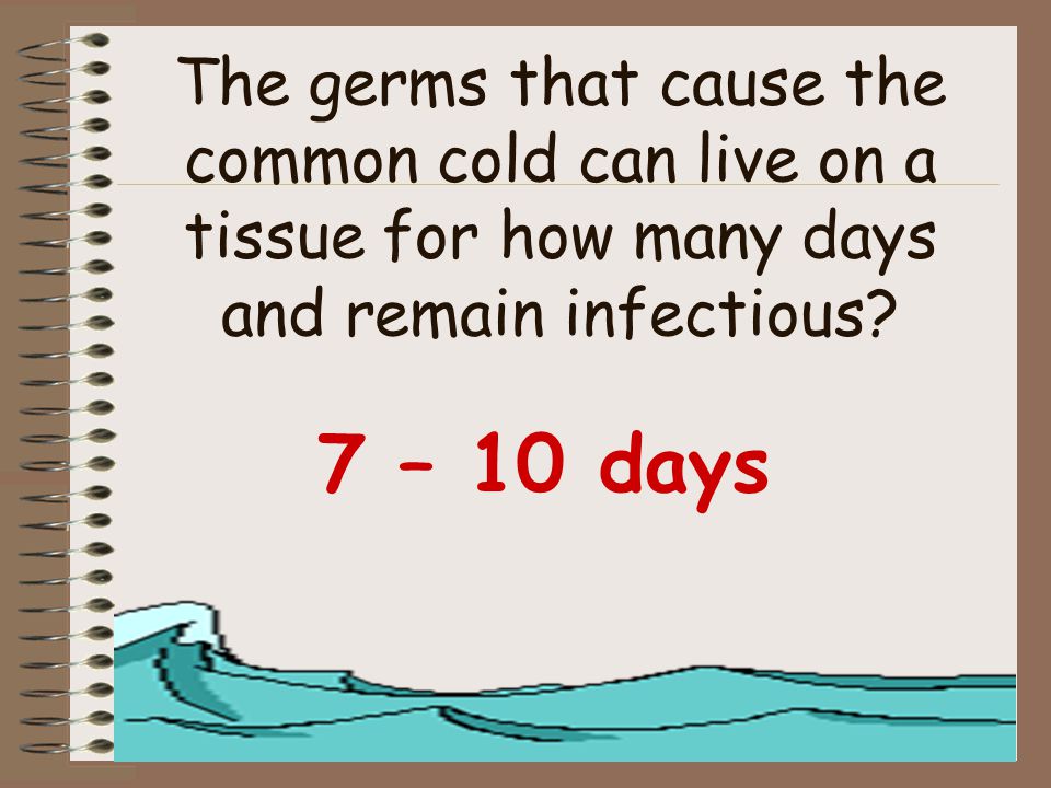 The germs that cause the common cold can live on a tissue for how many days and remain infectious