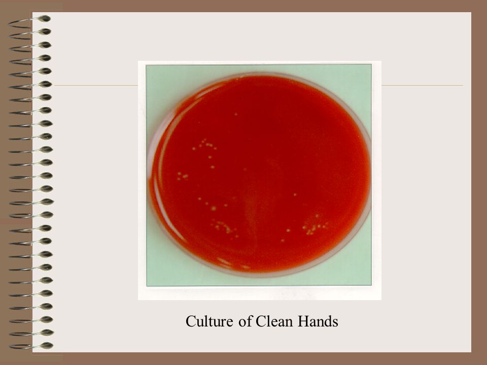 Culture of Clean Hands