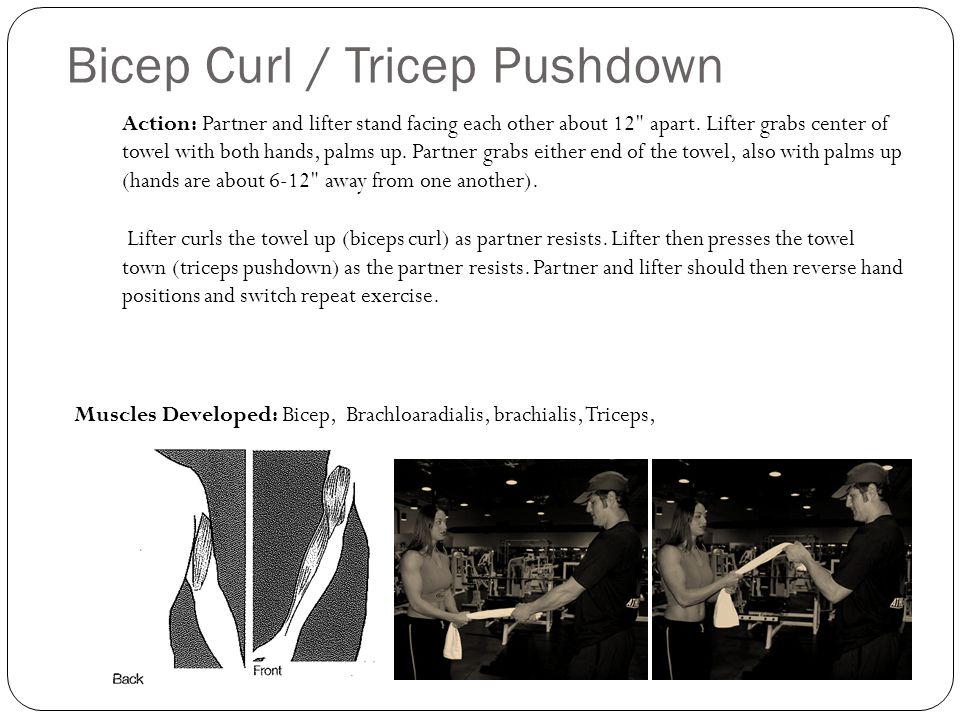 Bicep Curl / Tricep Pushdown