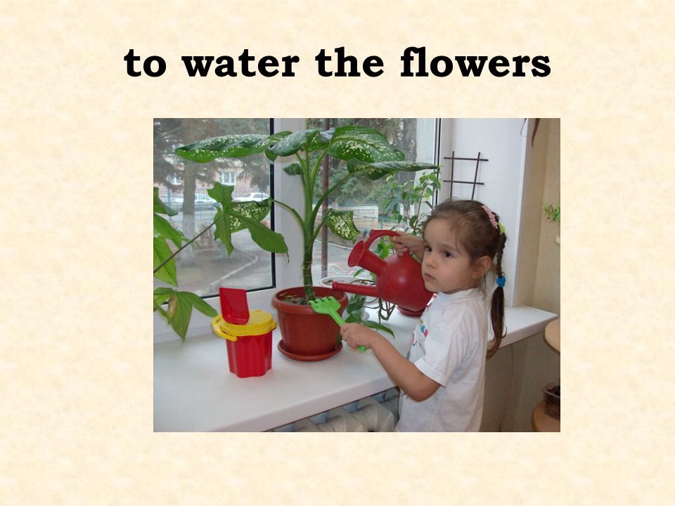 to water the flowers