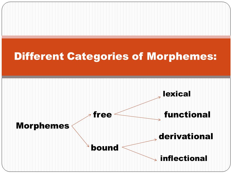 Different Categories of Morphemes: