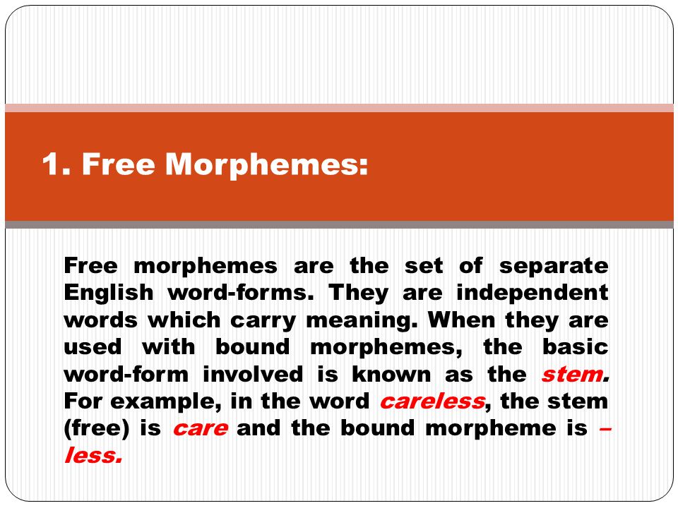 1. Free Morphemes: