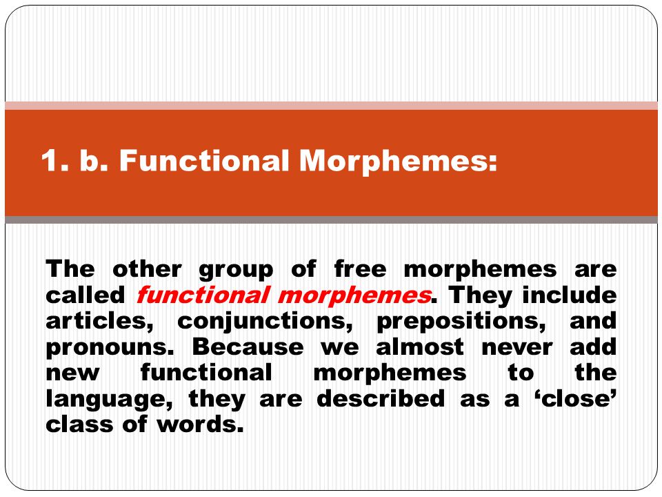 1. b. Functional Morphemes: