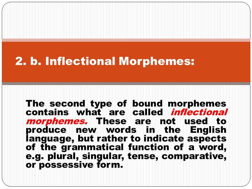 2. b. Inflectional Morphemes: