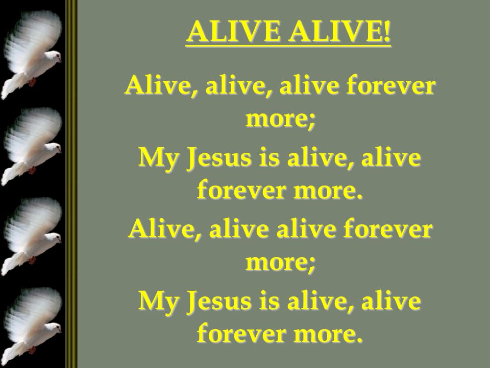 ALIVE ALIVE! Alive, alive, alive forever more;