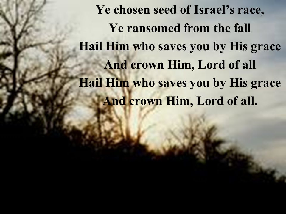 Ye chosen seed of Israel’s race, Ye ransomed from the fall