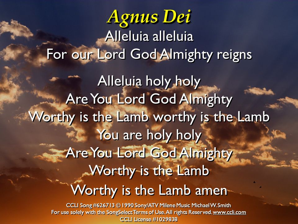 Agnus Dei Alleluia alleluia For our Lord God Almighty reigns Alleluia holy holy.