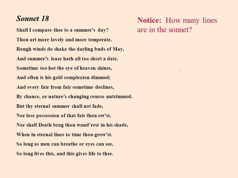 Notice: How many lines are in the sonnet