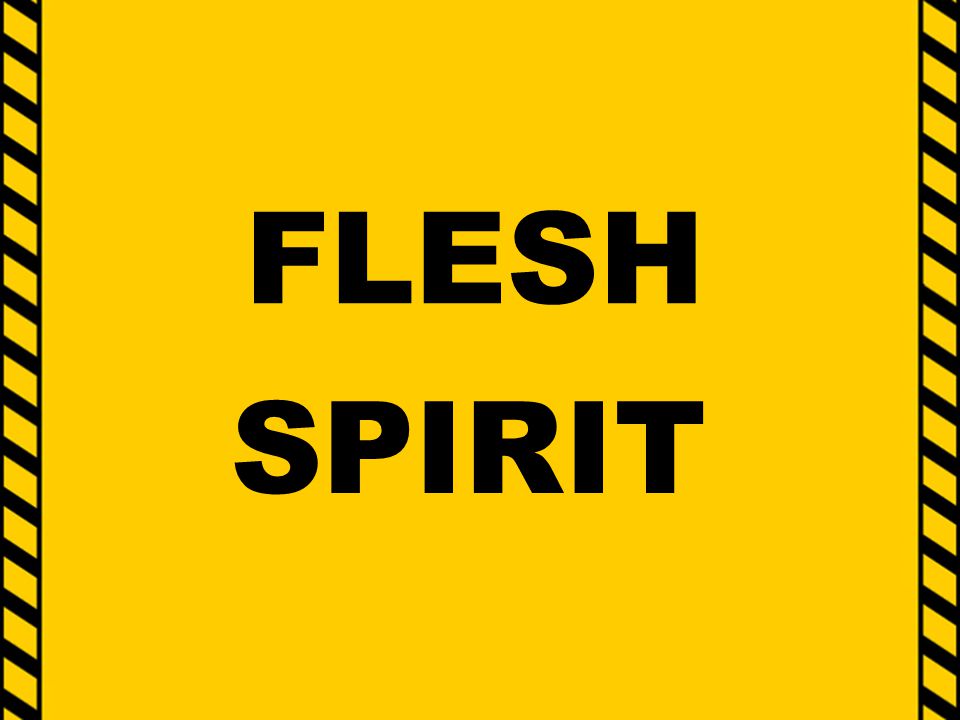 FLESH SPIRIT