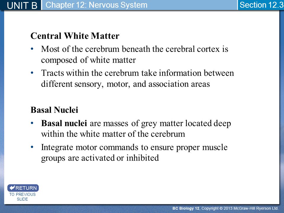 UNIT B Central White Matter