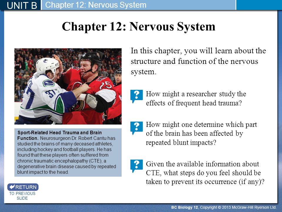 Chapter 12: Nervous System
