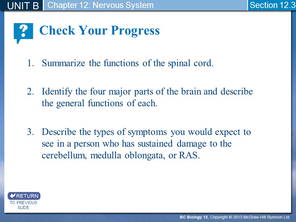 Check Your Progress UNIT B Summarize the functions of the spinal cord.
