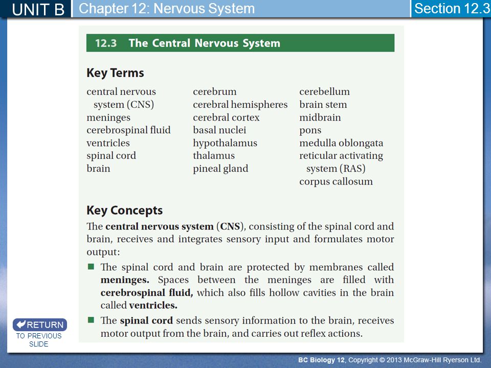 UNIT B Chapter 12: Nervous System Section 12.3 TO PREVIOUS SLIDE