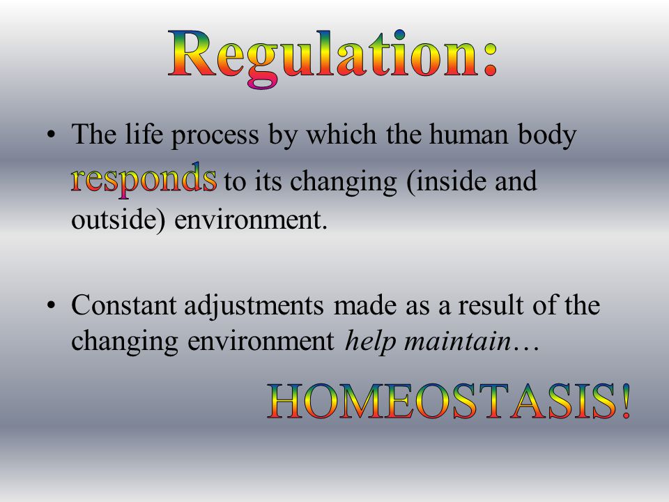 Regulation: HOMEOSTASIS!