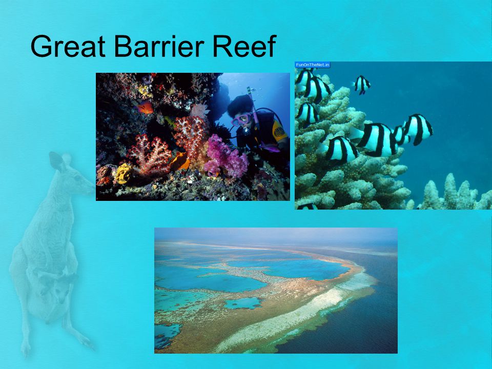 Great Barrier Reef