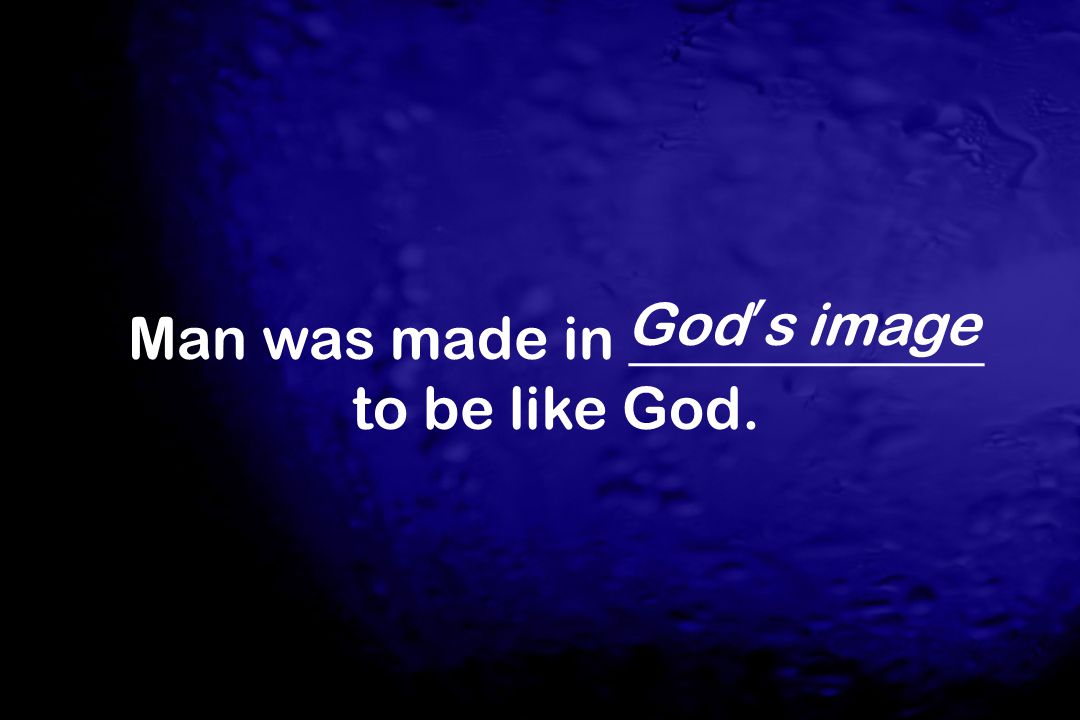 Man was made in ____________ to be like God.