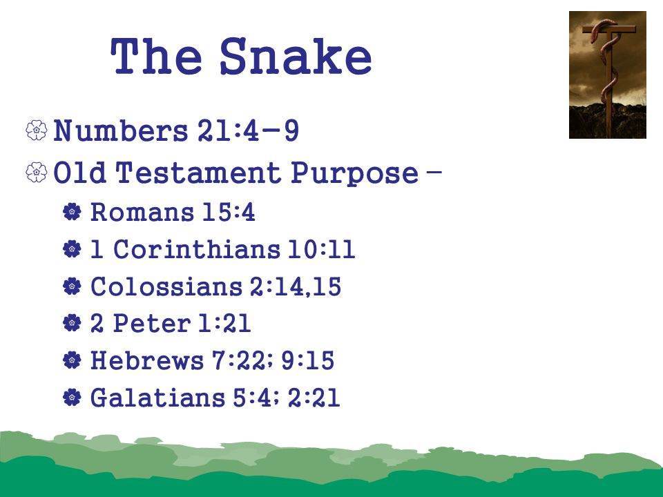 The Snake Numbers 21:4-9 Old Testament Purpose – Romans 15:4