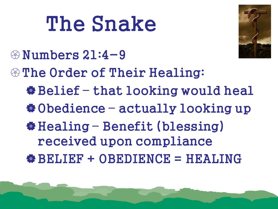 The Snake Numbers 21:4-9 The Order of Their Healing:
