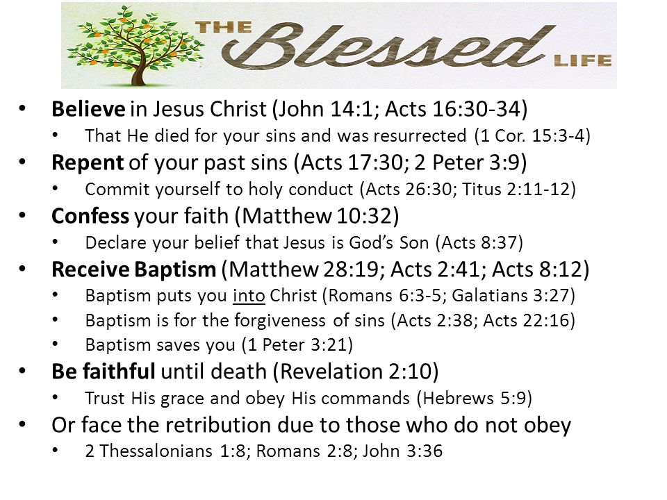 Believe in Jesus Christ (John 14:1; Acts 16:30-34)