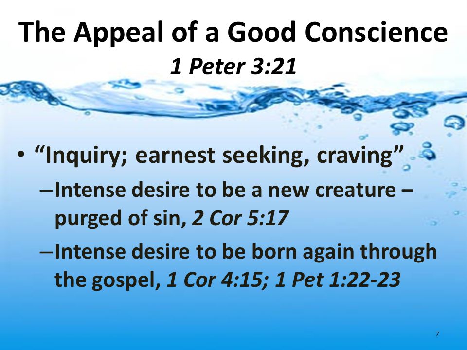 The Appeal of a Good Conscience 1 Peter 3:21