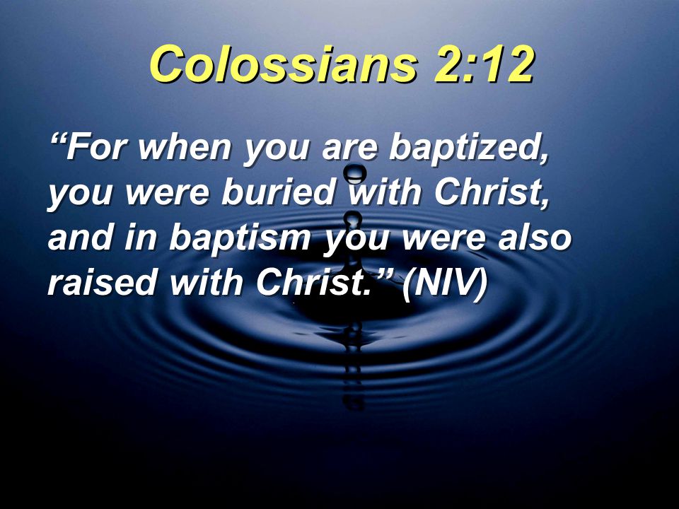 Colossians 2:12 For when you are baptized, you were buried with Christ, and in baptism you were also raised with Christ. (NIV)