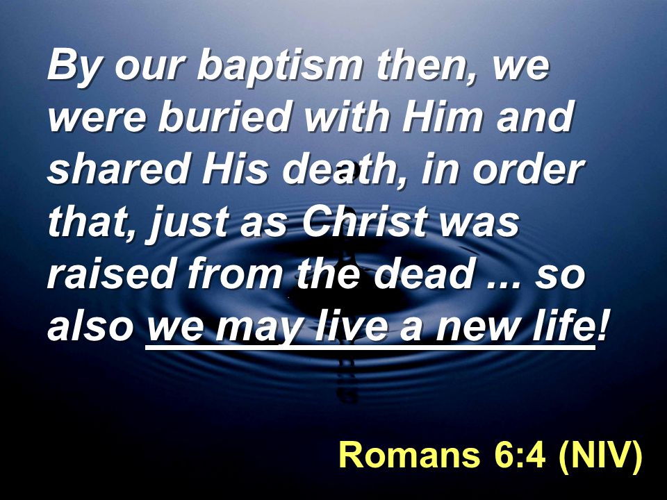 By our baptism then, we were buried with Him and shared His death, in order that, just as Christ was raised from the dead ... so also we may live a new life!