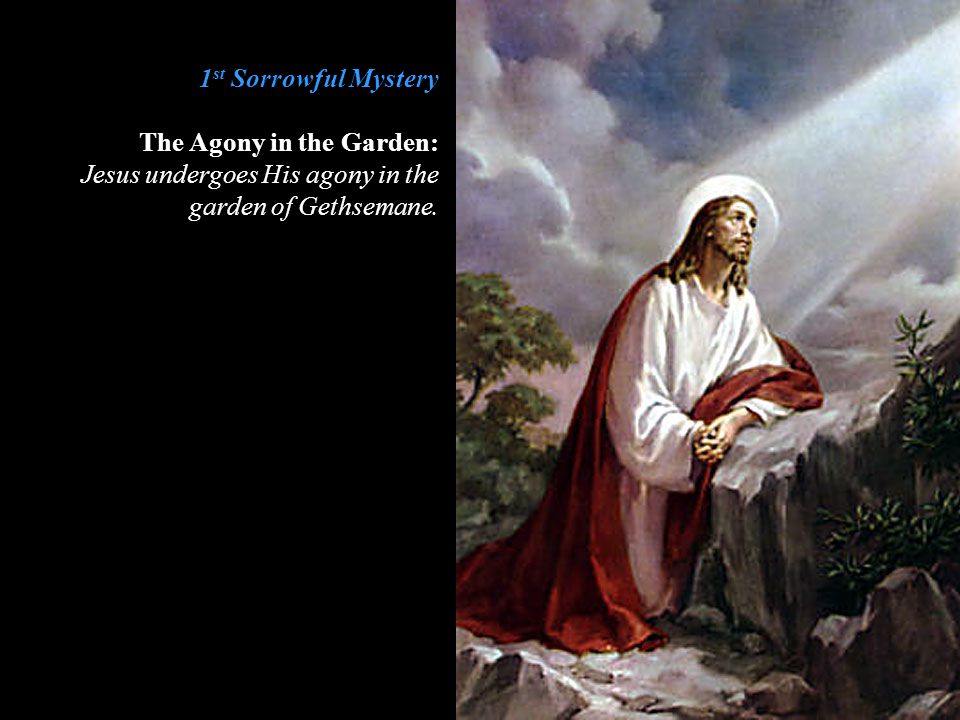 1st Sorrowful Mystery The Agony in the Garden: Jesus undergoes His agony in the garden of Gethsemane.