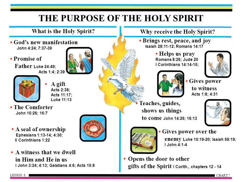 THE PURPOSE OF THE HOLY SPIRIT Why receive the Holy Spirit