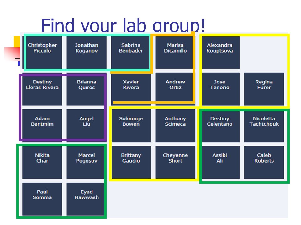 Find your lab group!