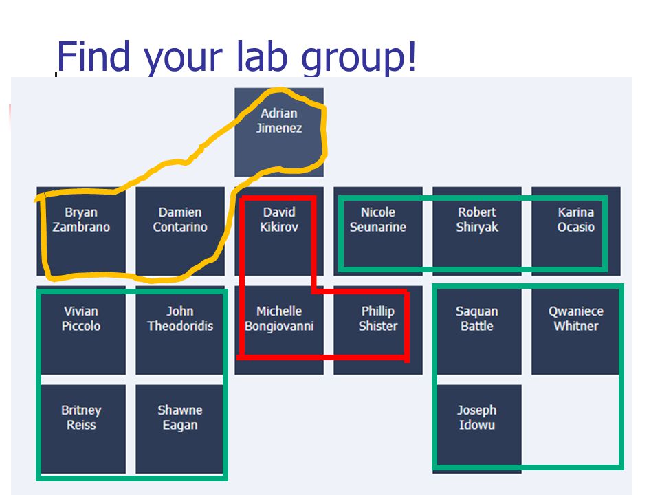 Find your lab group!