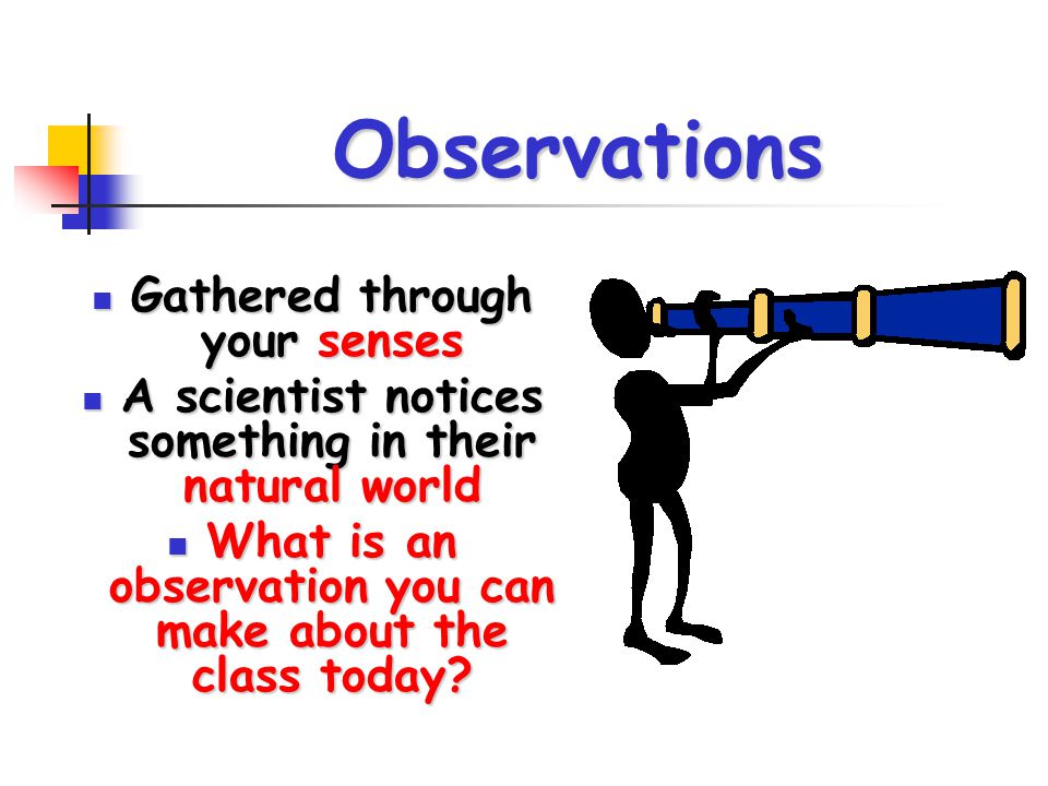 Observations Gathered through your senses