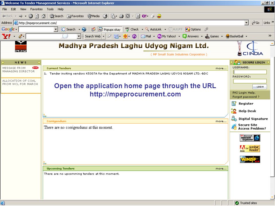 Open the application home page through the URL