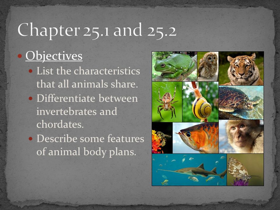 Chapter 25.1 and 25.2 Objectives