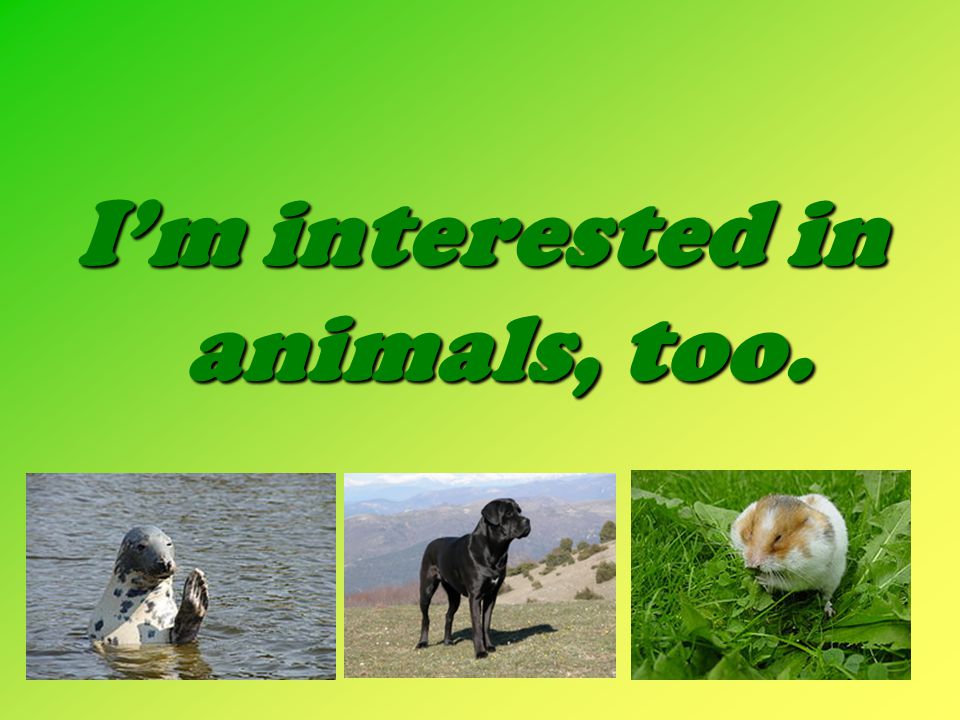 I’m interested in animals, too.