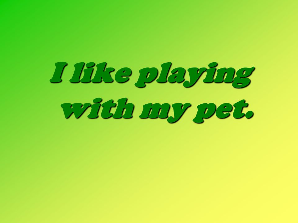 I like playing with my pet.
