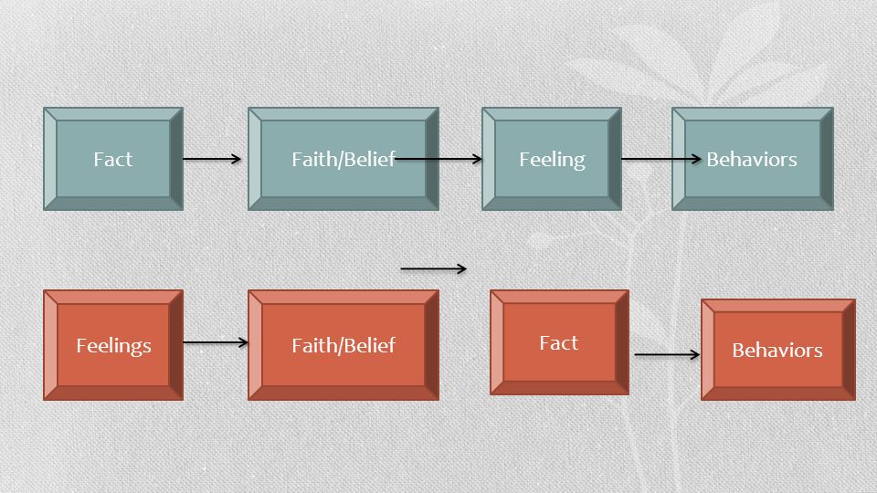 Fact Faith/Belief Feeling Behaviors Feelings Faith/Belief Fact Behaviors