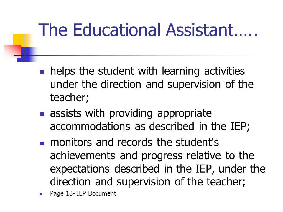 The Educational Assistant…..