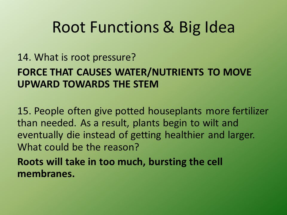 Root Functions & Big Idea