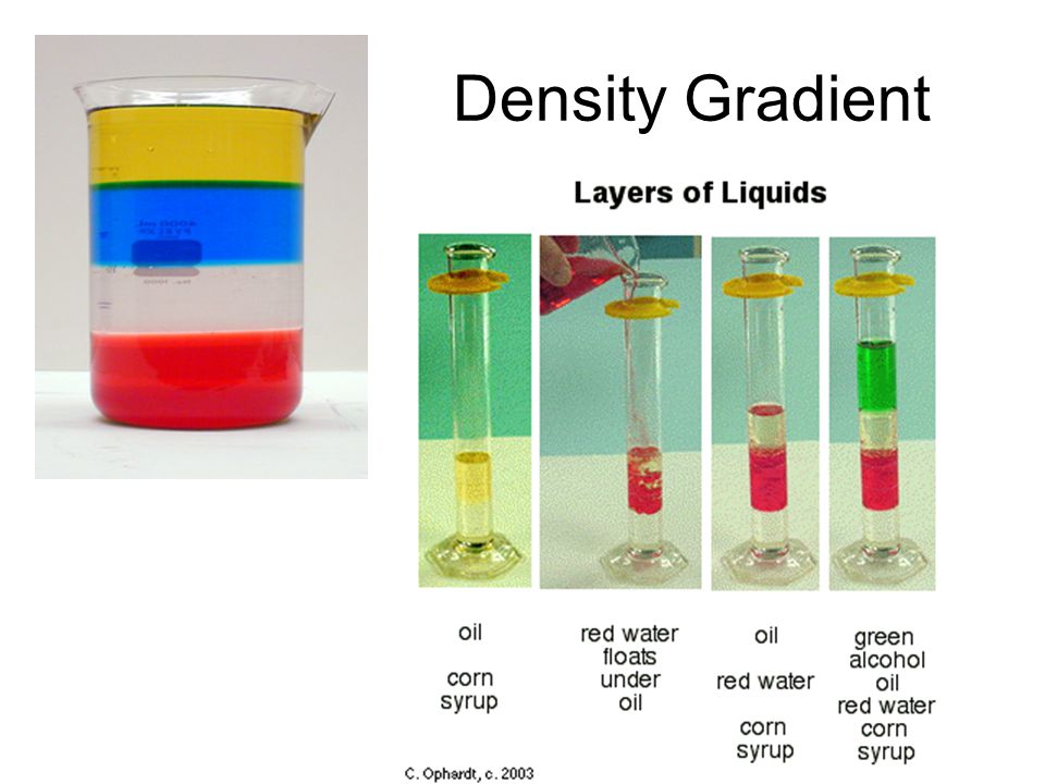 Density Gradient