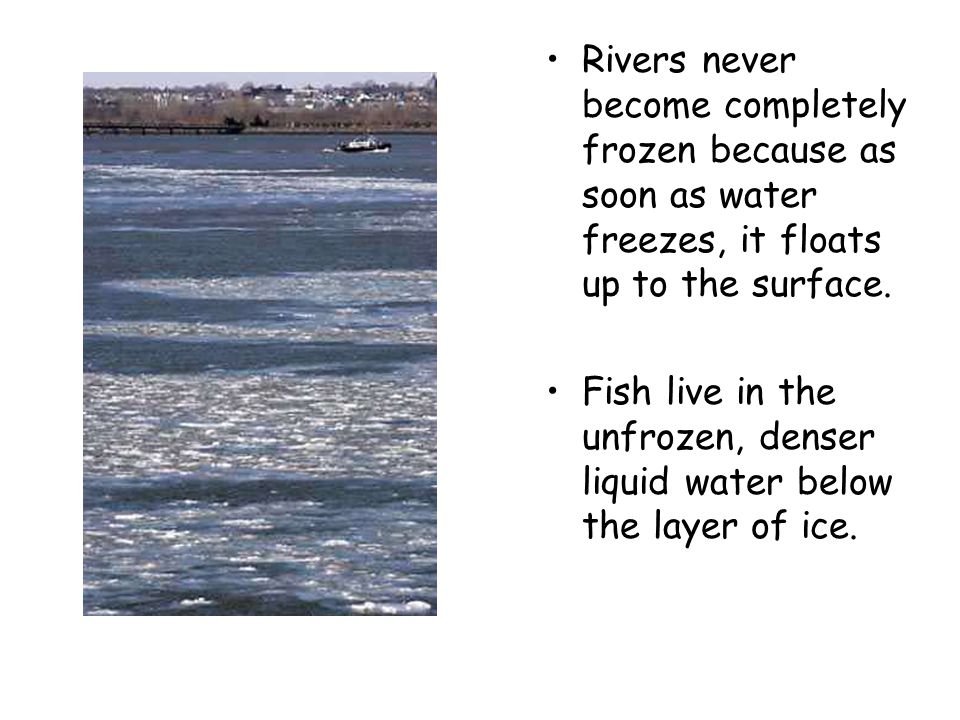 Rivers never become completely frozen because as soon as water freezes, it floats up to the surface.