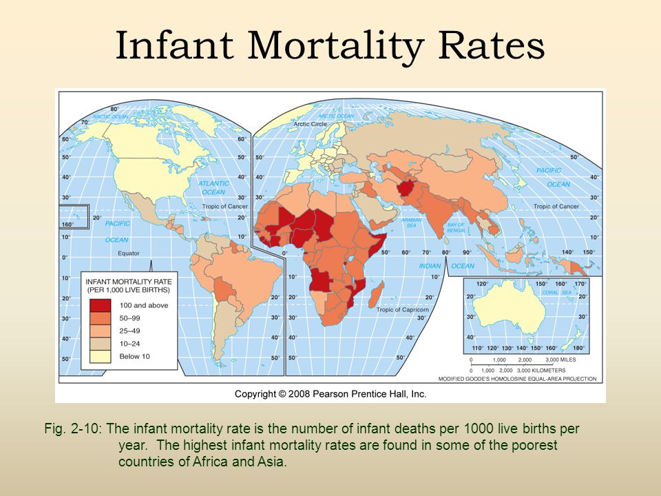 Infant Mortality Rates
