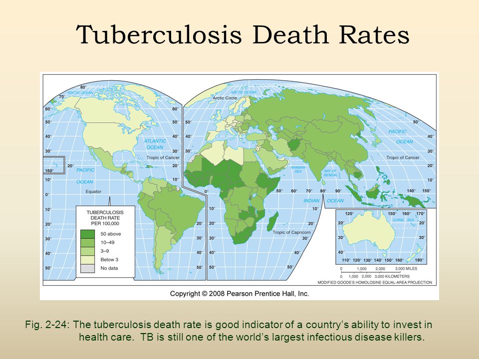 Tuberculosis Death Rates