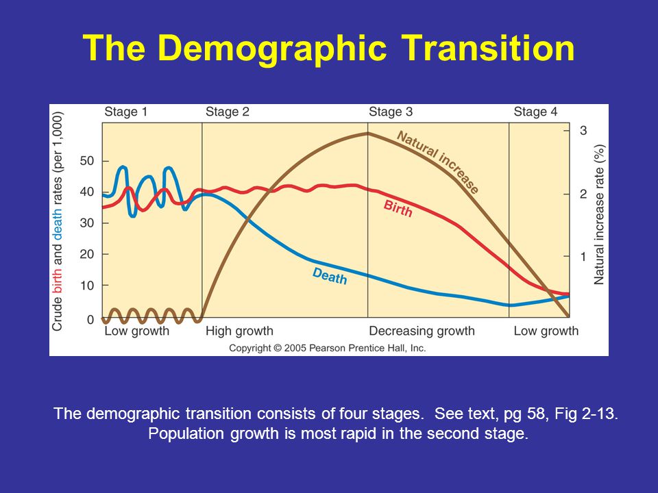 The Demographic Transition
