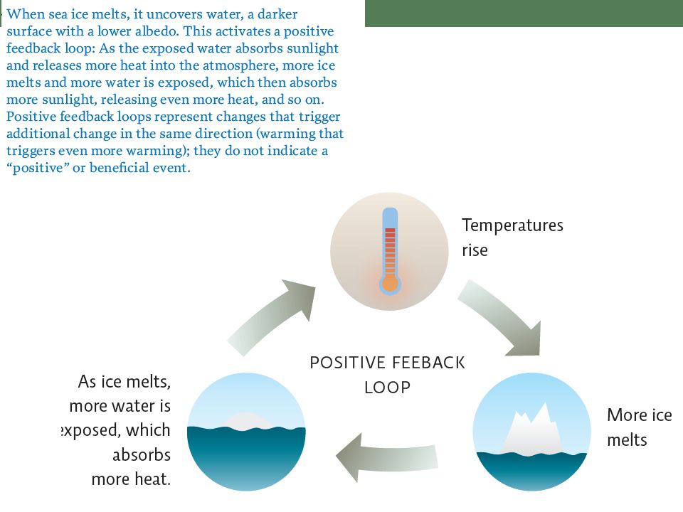 Positive feedback loops can speed warming.