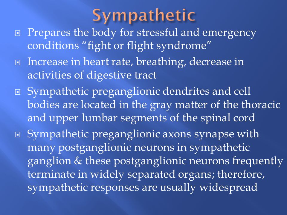 Sympathetic Prepares the body for stressful and emergency conditions fight or flight syndrome