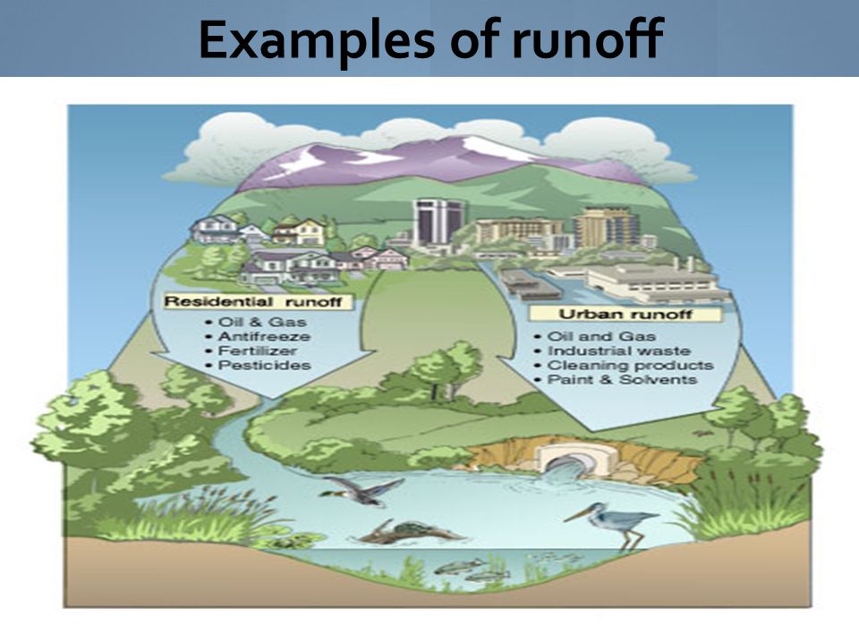 Examples of runoff