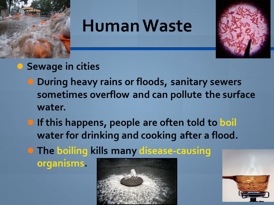 Human Waste Sewage in cities