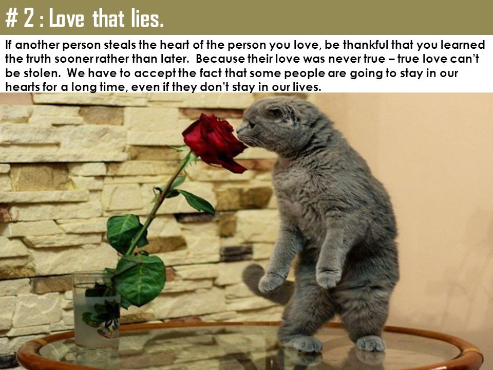 # 2 : Love that lies. If another person steals the heart of the person you love, be thankful that you learned.