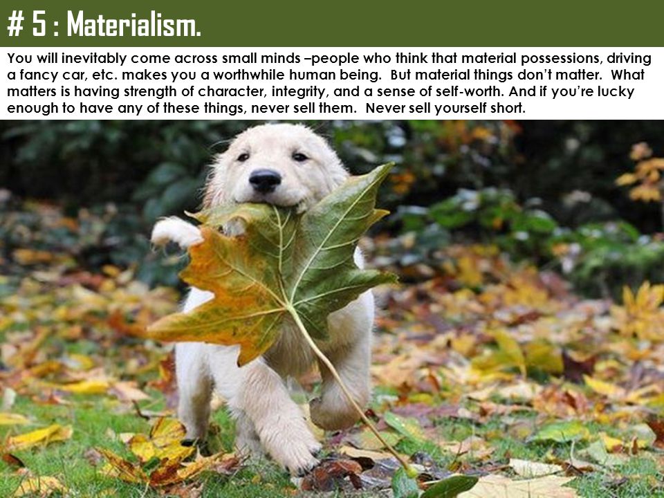 # 5 : Materialism. You will inevitably come across small minds –people who think that material possessions, driving.