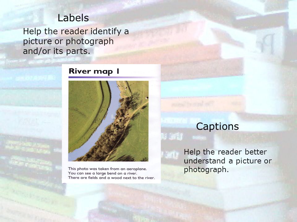 Labels Help the reader identify a picture or photograph and/or its parts.